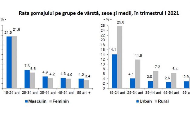 Guvernul anunță creșteri economice dar rata de ocupare a scăzut la 60,8% iar şomajul a urcat la 6,1%