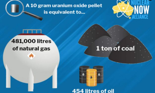 Germania se opune energiei nucleare dar cere ca gazele sa fie declarate energie verde